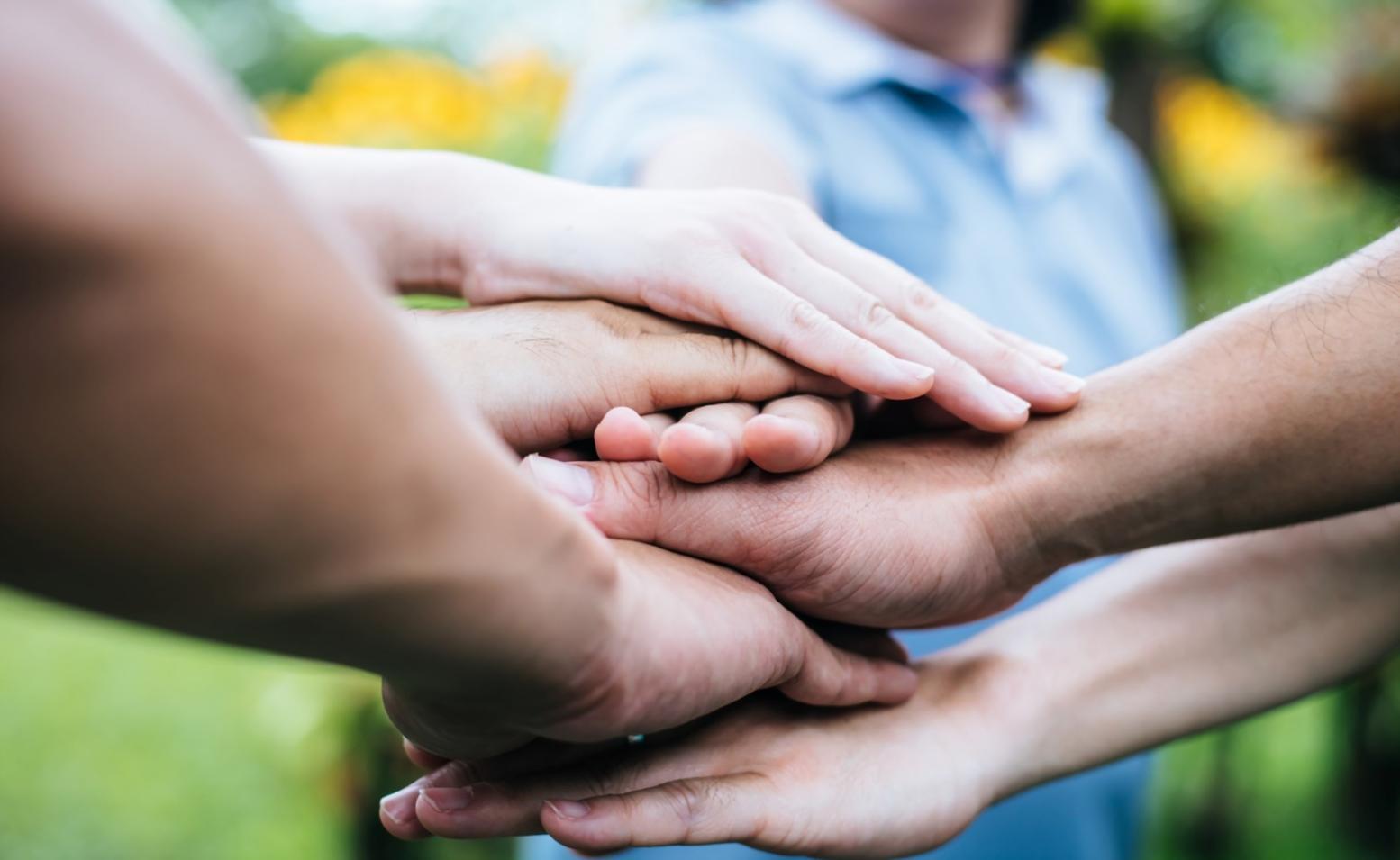 Sesiune de analiză comparativă cu date financiare